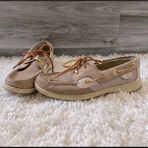 Sperry topsider
